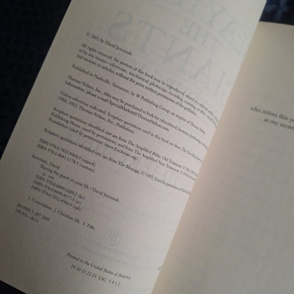 slaying the giants in your life - Picture 3 of 5